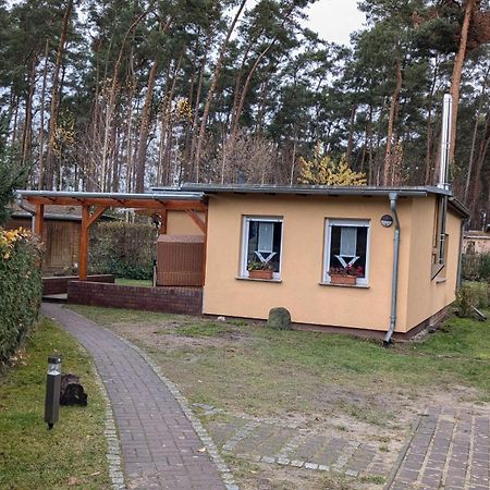 Spreewaldhaeuser Golinski Mit Kamin Am Neuendorfer See Alt Schadow Eksteriør billede