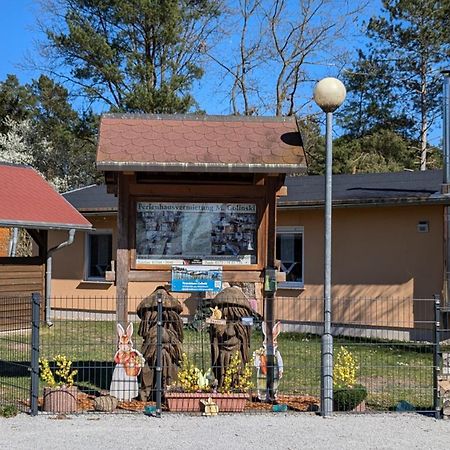 Spreewaldhaeuser Golinski Mit Kamin Am Neuendorfer See Alt Schadow Eksteriør billede