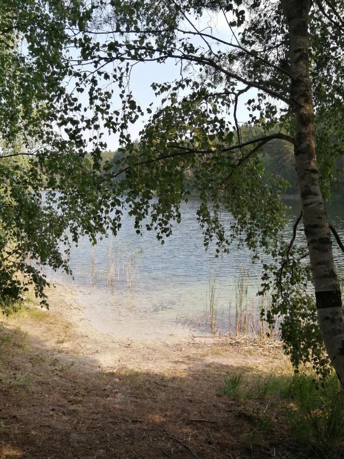 Spreewaldhaeuser Golinski Mit Kamin Am Neuendorfer See Alt Schadow Eksteriør billede